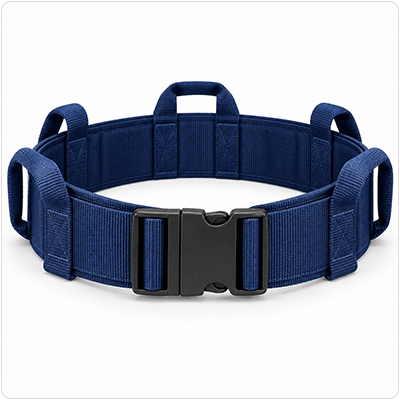 Transfer belt